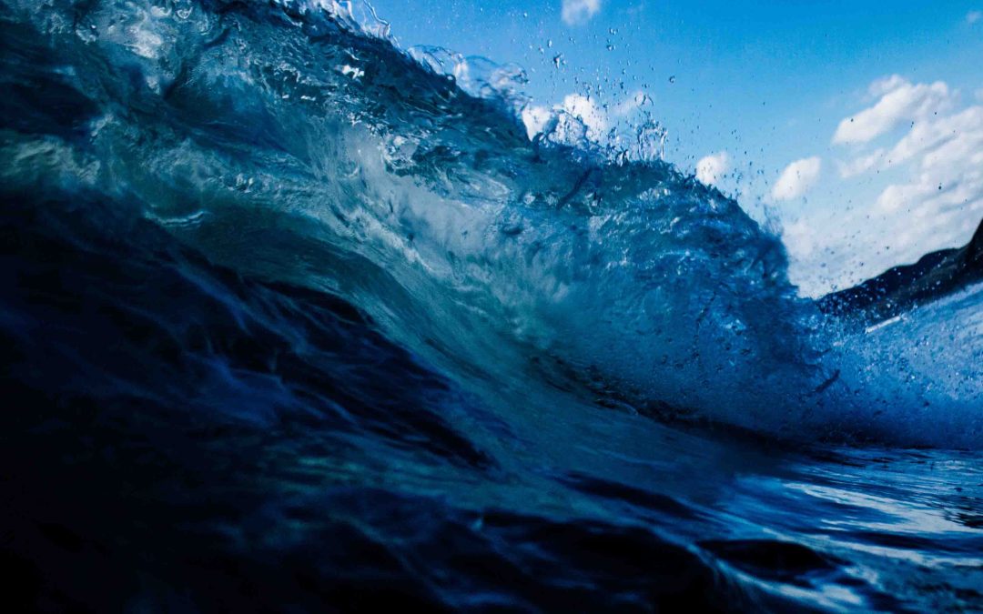 Must-Read For Everyone Who Starts a StartUp: Blue Ocean Strategy