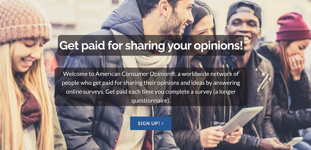 Online Paid survey
